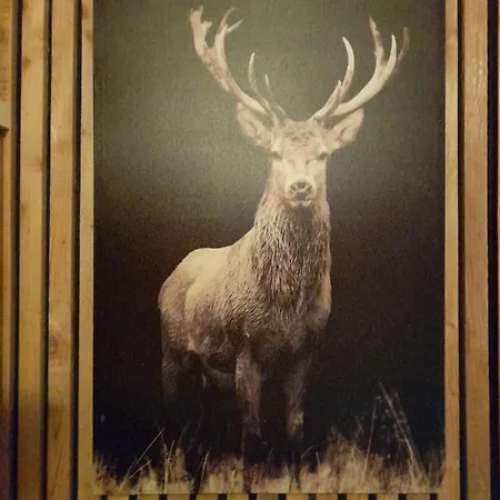 Casa vacanze ô Ptit Zébo *