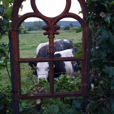 ô Ptit Zébo Nyaraló *