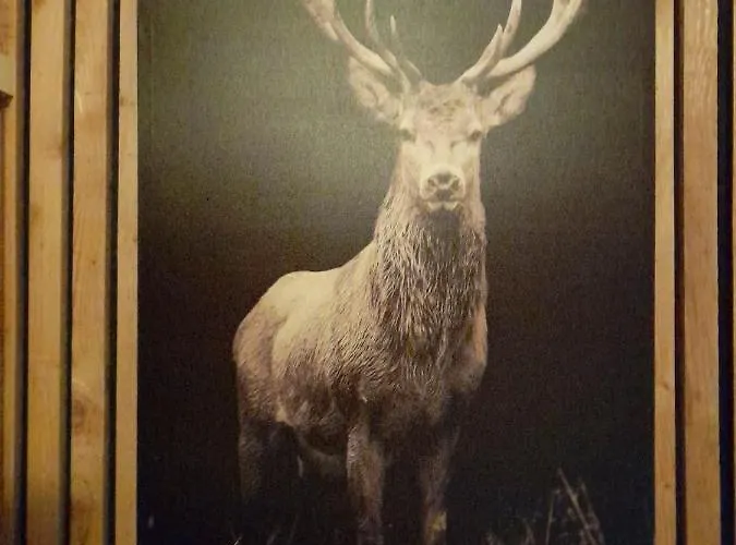 Holiday home O Ptit Zebo *