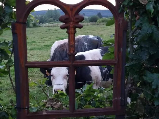 O Ptit Zebo Holiday home *